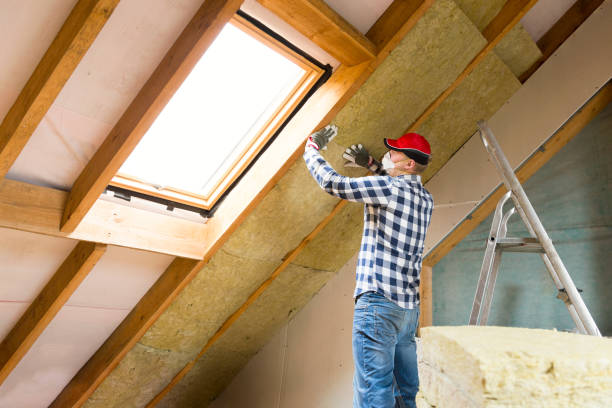 Best Eco-Friendly or Green Insulation Solutions  in Crest Hl, IL